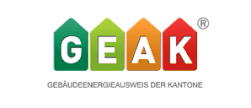 GEAK Plus